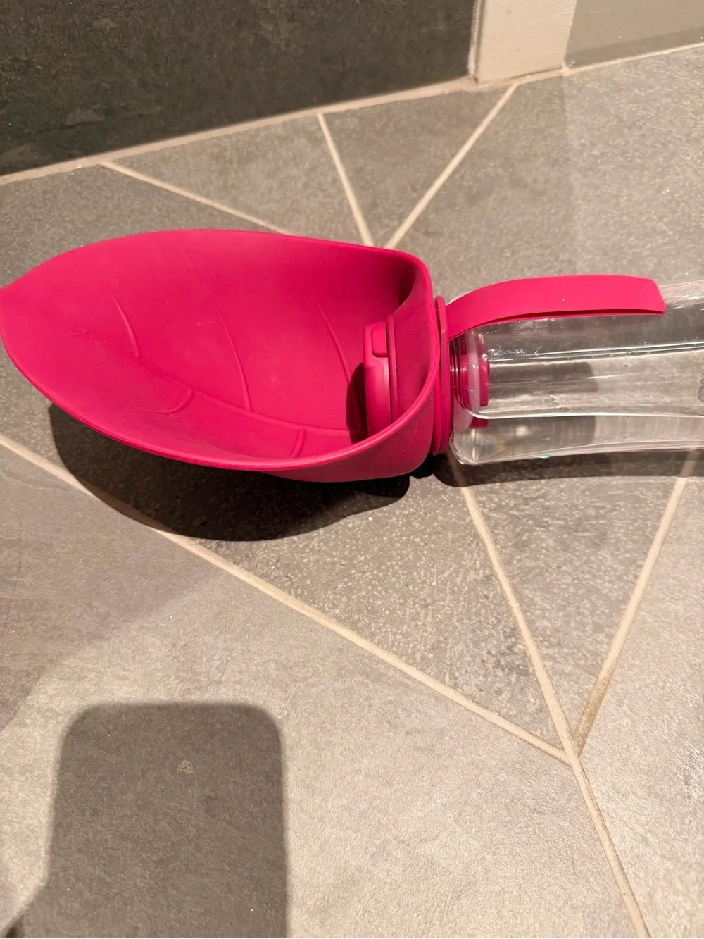 Pink Silicone Wrapped Glass Water Bottle - Stylish Dog Accessory